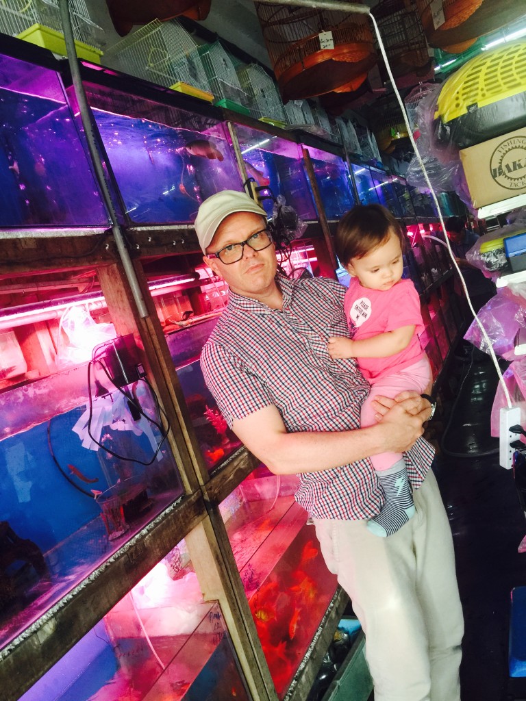 pets shop 