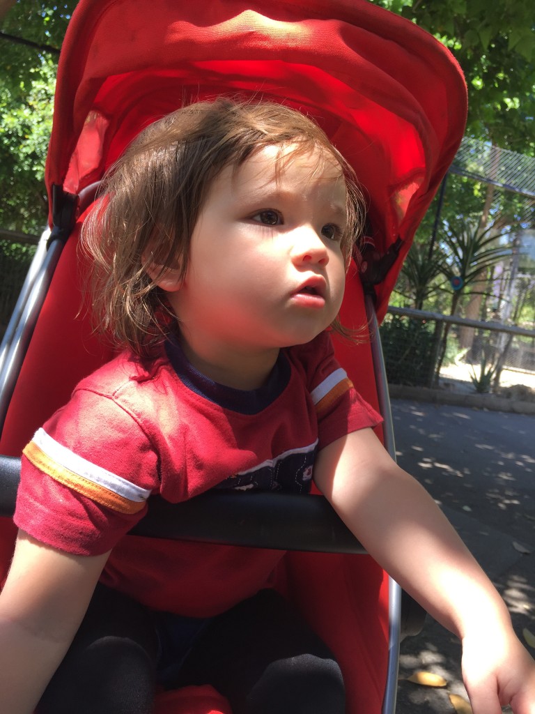 2015 Adelaine